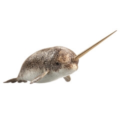 Narwhal swimming png marine png ocean png animal png wildlife png tusk png aquatic png sea png nature png mammal png transparent background image [memory:6]