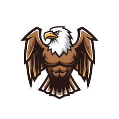Majestic eagle mascot logo with strong, determined expression, perfect for sports teams or brand identity, conveying power and freedom in a modern design