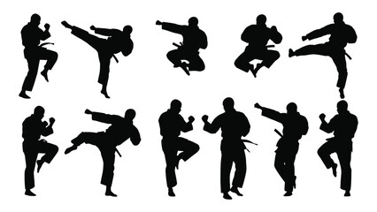 Dynamic martial arts silhouettes collection isolated on white background, Vector