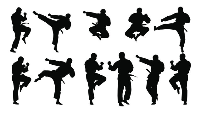 Dynamic martial arts silhouettes collection isolated on white background, Vector