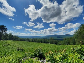 landscape with blue sky