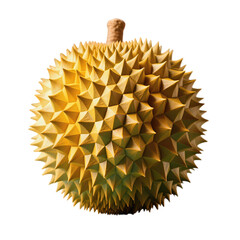 Spiky Yellow Durian Fruit with Distinctive Texture