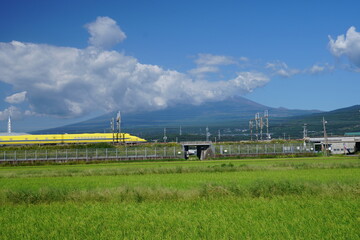 The autumn leaves during this season are beautiful