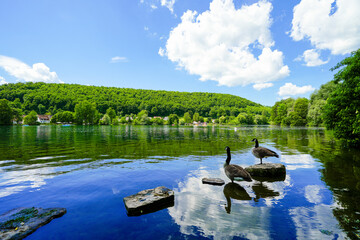 Fototapete bei efototapeten.de bestellen   
