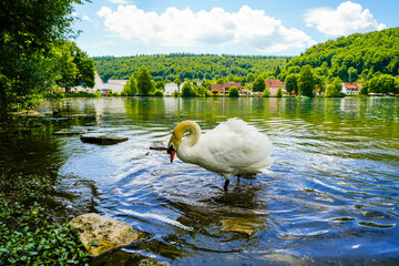 Fototapete bei efototapeten.de bestellen   
