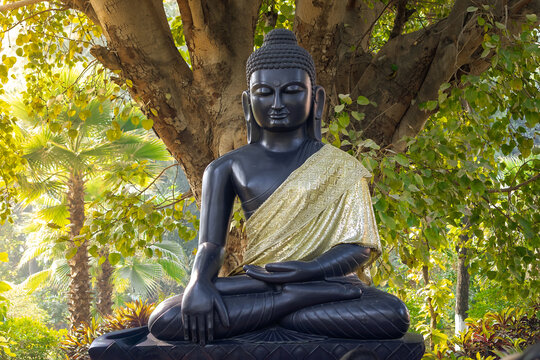 Meditative Buddha