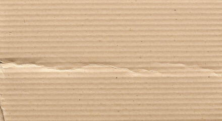 Textured background of recycled brown corrugated paper, featuring parallel ridges and a subtle rough edge, suitable for industrial, craft, or packaging design concepts