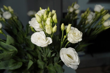 Close-up of fresh white eustoma (lisianthus) flowers and buds arranged indoors, captured in soft natural light.
