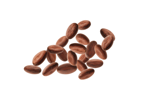 hyper-realistic macro of fresh roasted mahogany cocoa beans cascading dynamically mid-air, highlighted by sharp rim lighting against a seamless transparent background. concept for chocolate ingredient