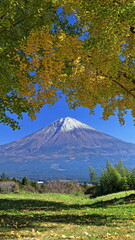 The autumn leaves during this season are beautiful