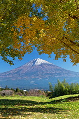 The autumn leaves during this season are beautiful