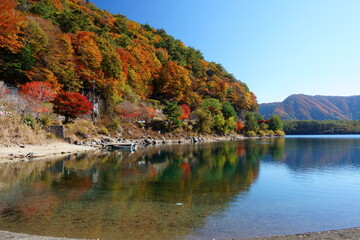 The autumn leaves during this season are beautiful