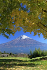 The autumn leaves during this season are beautiful