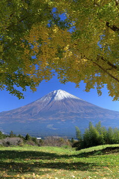 The autumn leaves during this season are beautiful