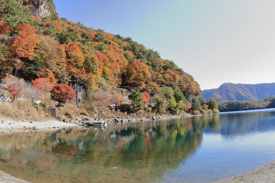 The autumn leaves during this season are beautiful