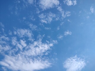 東京のそら(25.11.19）