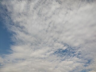 東京のそら(25.11.19）