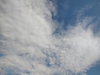 東京のそら(25.11.19）