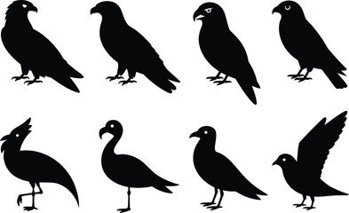 Naklejka premium Bird silhouettes, raven, parrot, flamingo, seagull, bird vector icons