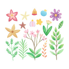 flowers and butterflies