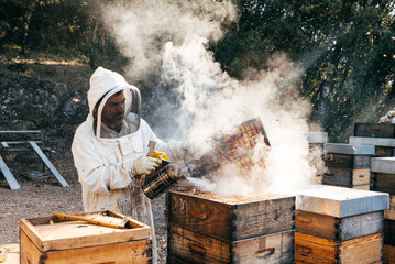 Beekeeper Tending to Hives With Smoke in a Sunny Outdoor Setting