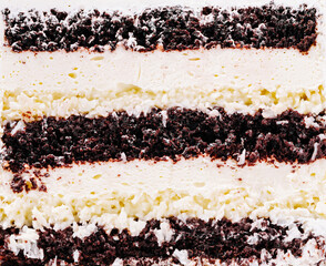 Chocolate and cream layered dessert served on a white plate at a gathering
