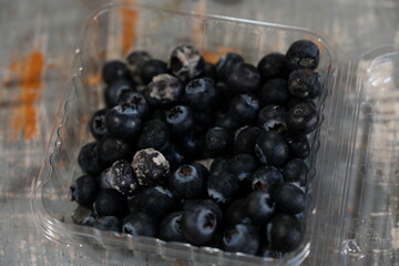 Moldy Blueberries in Plastic Container