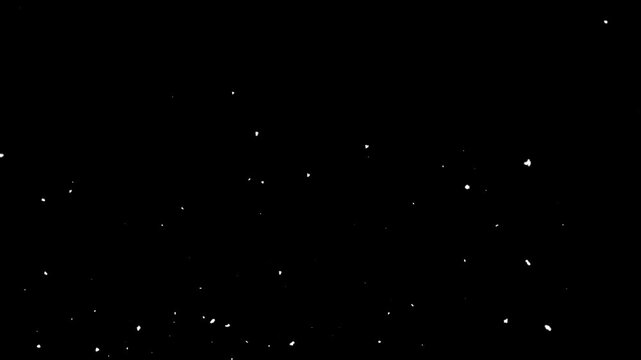 Slow motion real dust particles floating in air over isolated black background. Isolated falling snow, dust particles flowing up on transparent background with alpha channel. 