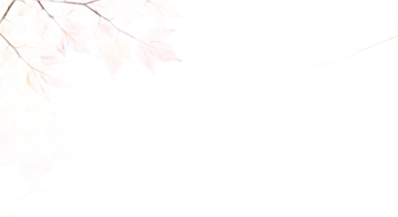 Dreamy Autumnal Hues Delicate Leaves Dancing in the Light Against a Serene White Canvas