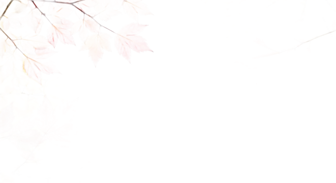 Dreamy Autumnal Hues Delicate Leaves Dancing in the Light Against a Serene White Canvas