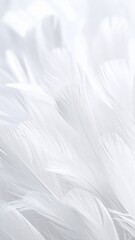 Obraz premium Softness of White Feathers Abstract Gentle Texture Conceptual Minimalism for Serenity and Purity Background.