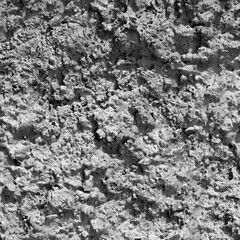 The texture of dirt on the ground