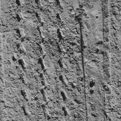 The texture of dirt on the ground