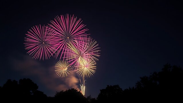 longexposure. Night sky illuminated by colorful fireworks with silhouetted trees adding depth to the scene. product launch decks, UI/UX mockups, designed for product launches and innovation pitches.