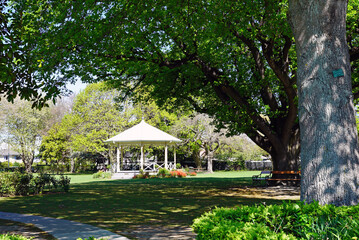 Rangiora's Victoria Park band rotunda and flower garden in a grass lawn of a public park, under a blue sky. Seen through branches of a large tree.