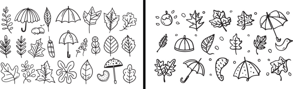 autumn design, fall leaves, pumpkin pattern, seasonal decor, botanical vector, thanksgiving art, decorative maple, autumn symbols, holiday elements, fall composition