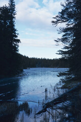 By the Vesle Fløyta Lake of the Totenåsen Hills, part of the Svartdalstjerna Primeval Forest Reserve, Norway, November 2025.