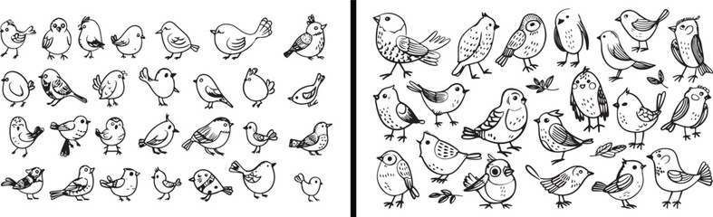 bird outline illustration, flying bird vector, hand drawn bird sketch, minimal bird art, nature bird collection, wildlife line art, bird silhouette drawing, artistic bird pattern, ornithology art desi