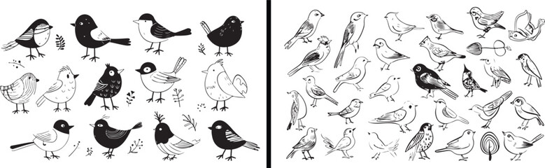 bird line art set, hand drawn bird illustration, black and white bird sketch, minimal bird outline, wildlife drawing vector, ornithology artwork, bird collection design, flying bird illustration, arti