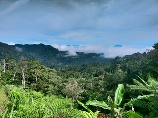 Green mountain landscape with dense forest vegetation under a bright blue sky, showing the beauty of natural tropical scenery.