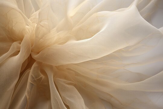 Soft, sheer beige fabric drapes gracefully, creating an abstract texture with delicate folds and subtle light play