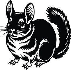 Detailed black and white illustration of a chinchilla with large ears and bushy tail on a white background