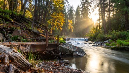 Sunlit River Flowing Through a Lush Forest Landscape.