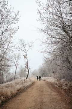 Couple walking on frosted winter path on Boise Greenbelt