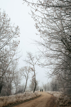 People walking Boise Greenbelt path through frosted winter park