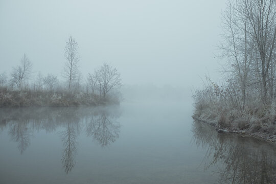 Foggy winter morning with trees reflecting in calm water