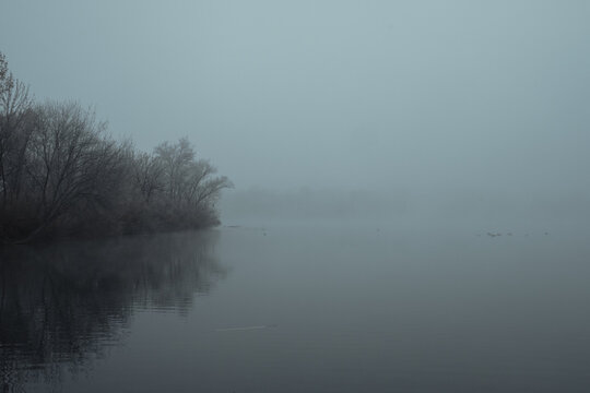 Winter fog blanketing boise river in simplot park