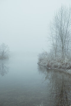 Foggy winter morning along boise river greenbelt