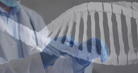 Aligning DNA helix, male researcher in white lab coat, surgical mask, blue nitrile gloves in lab