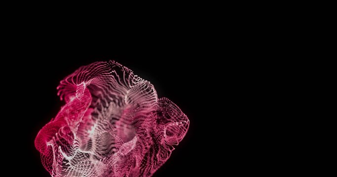 Flowing magenta-pink luminous mesh undulating on deep-black background, with fine lines, copy space
